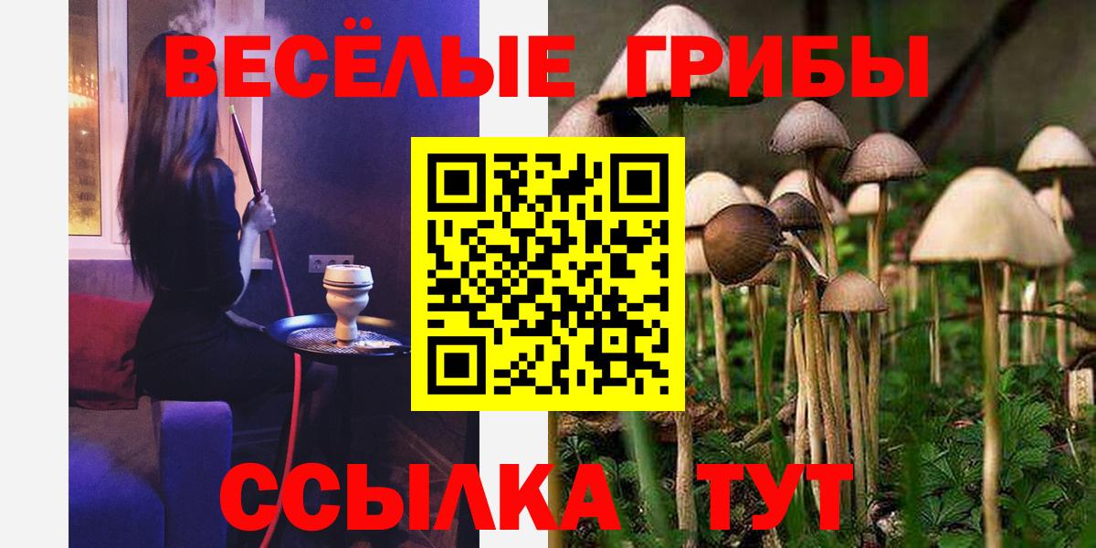 Псилоцибиновые грибы Magic Shrooms  Вход с VPN  Когалым 
